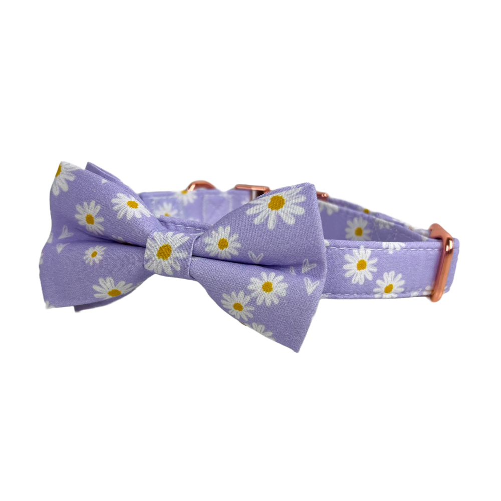 Personalized Purple Daisy Dog Bow Tie Collar