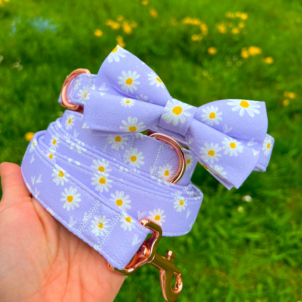 Personalized Purple Daisy Dog Bow Tie Collar & Leash