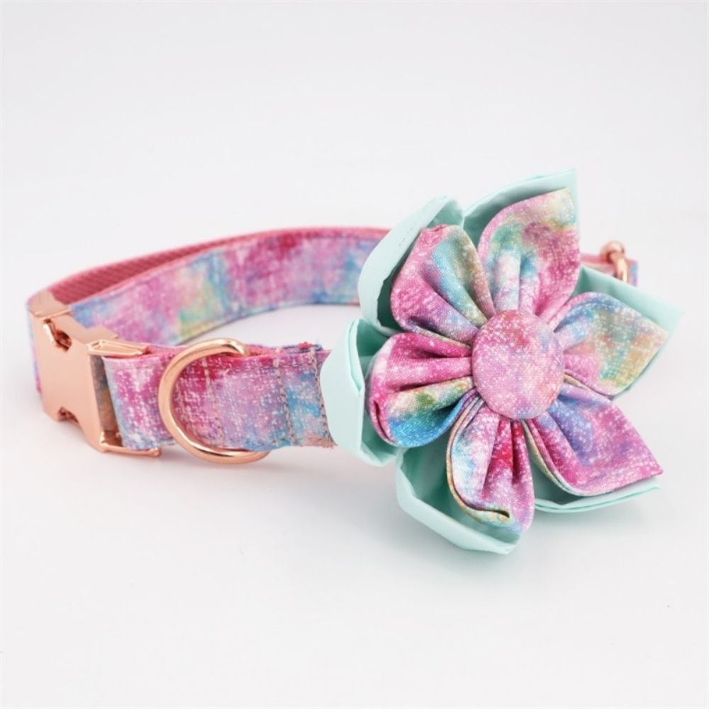 Personalized Dream  Flower Dog Collar & Leash