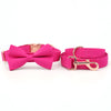 Personalized Rose Pink Dog Bow Tie Collar & Leash