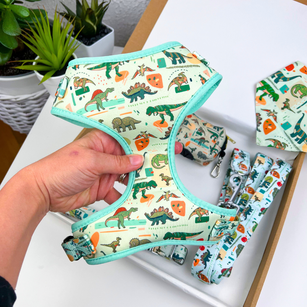 Adjustable Dog Harness - Dinosaur