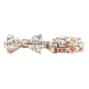 Personalized Meadow Dog Bow Tie Collar & Leash