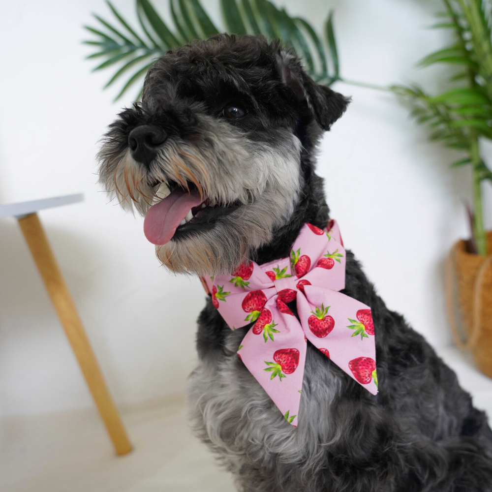 Personalized Strawberries Dog Sailor Bow Tie Collar