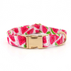 Personalized Watermelon Dog Bow Tie Collar & Leash