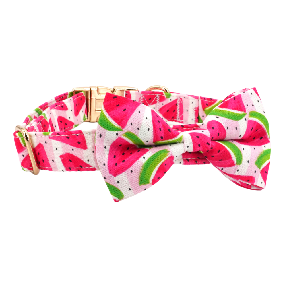 Personalized Watermelon Dog Bow Tie Collar