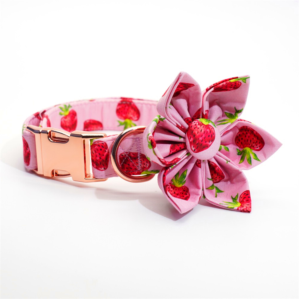 Personalized Strawberries Dog Flower Collar & Leash