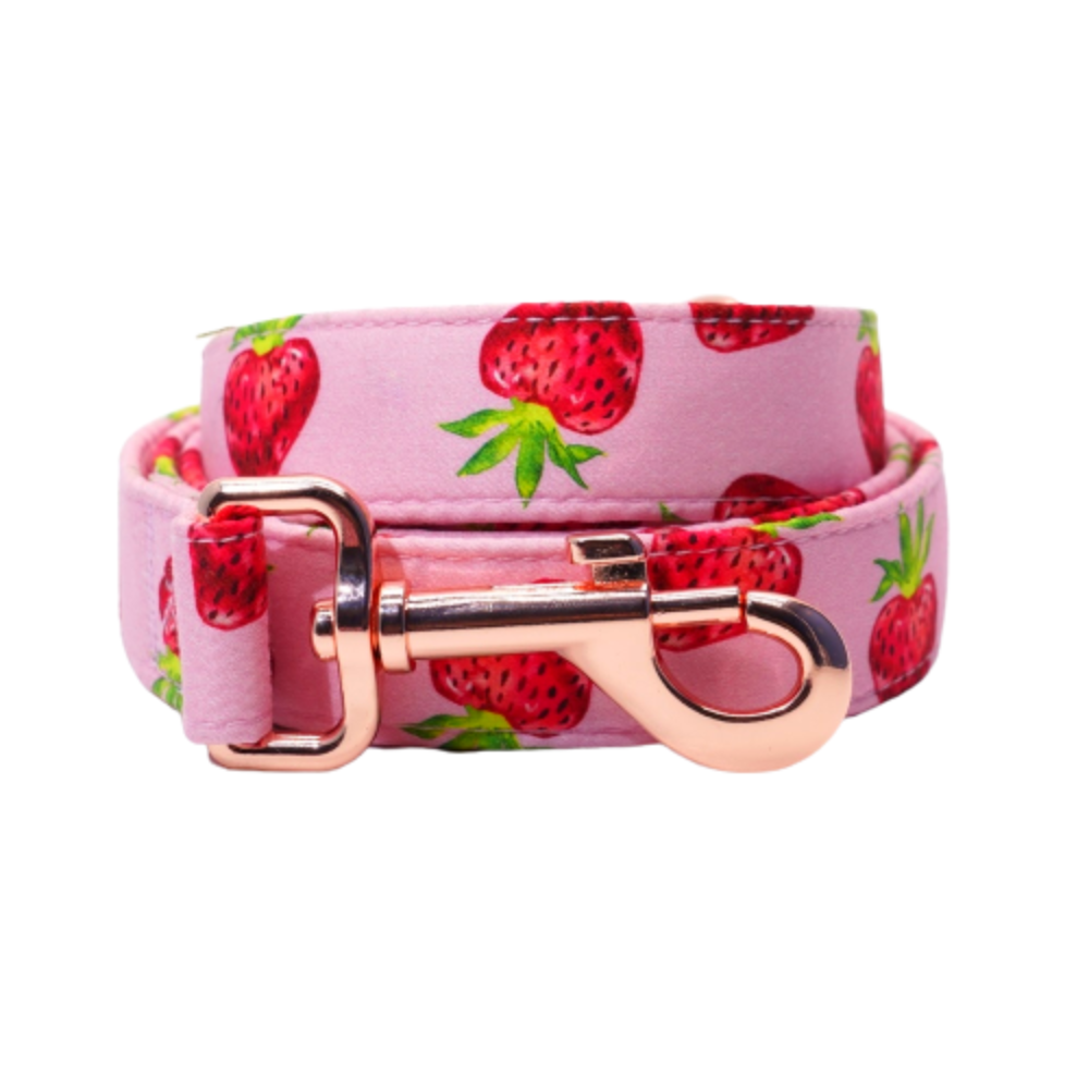 Personalized Strawberries Dog Bow Tie Collar