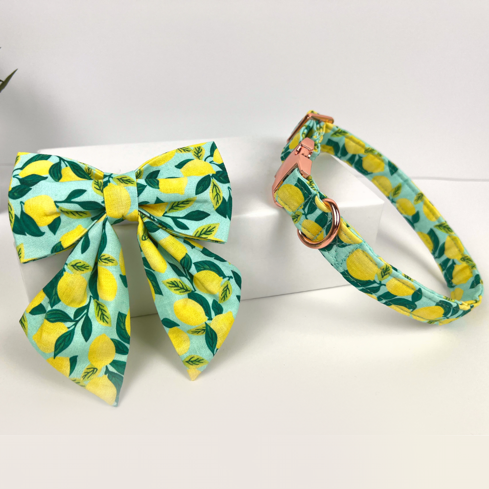 Lemon Zest Dog Sailor Bow Tie Collar