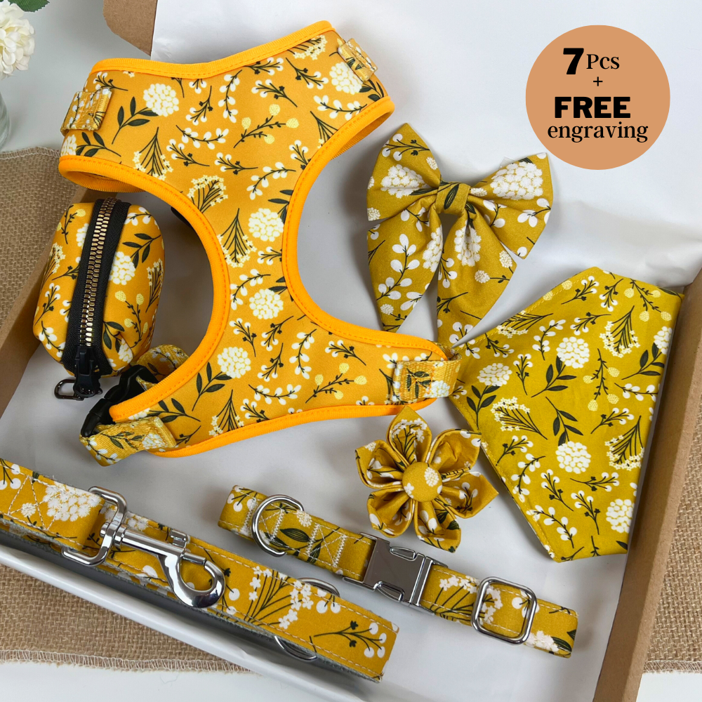 Yellow Flowers Mega Bundle