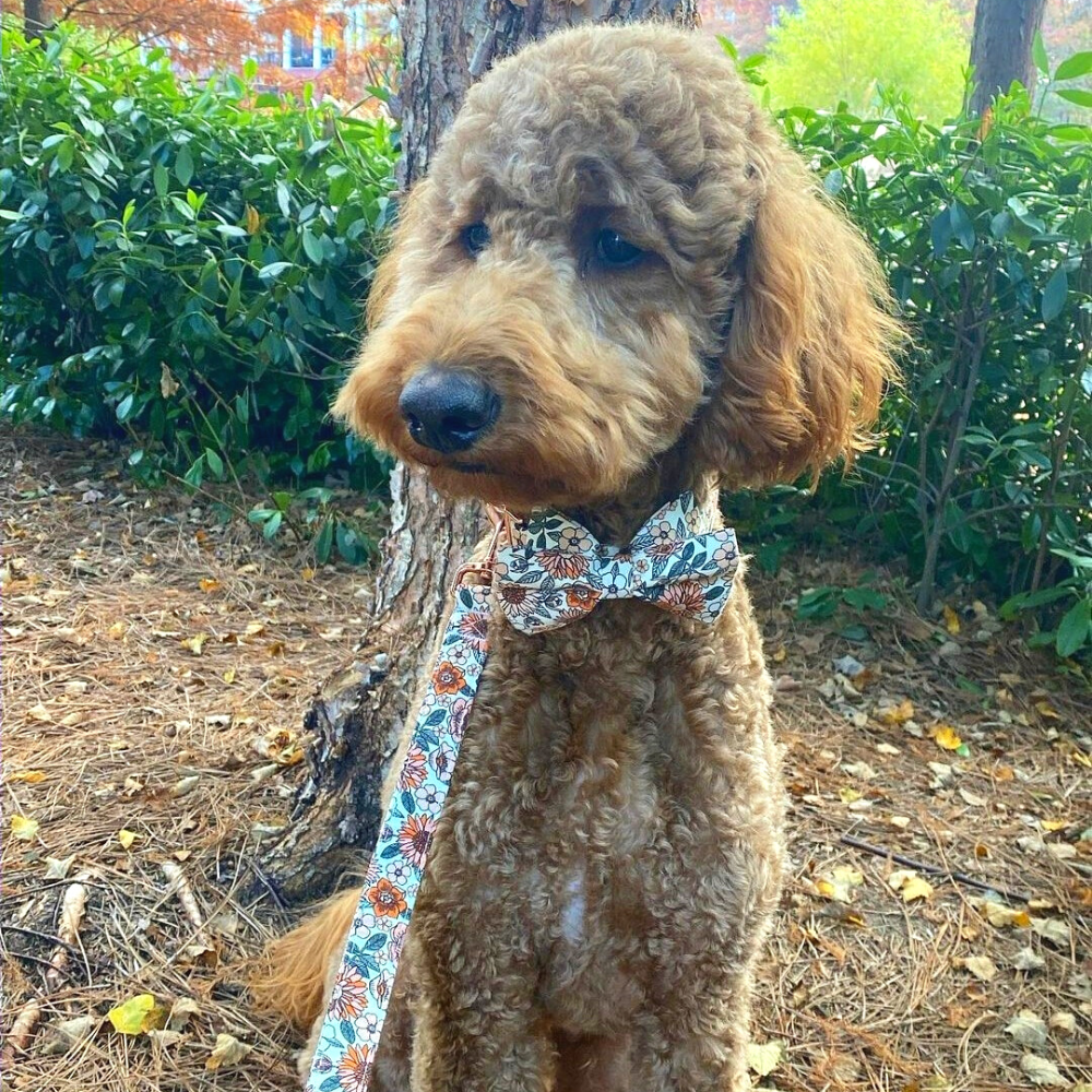 Personalized Boho Flowers Dog Bow Tie Collar