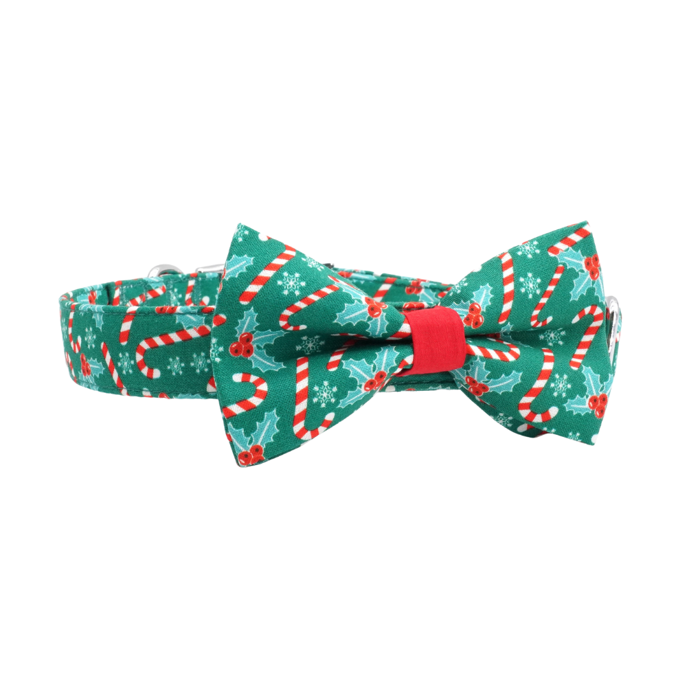 Personalized Christmas Magic Dog Bow Tie Collar