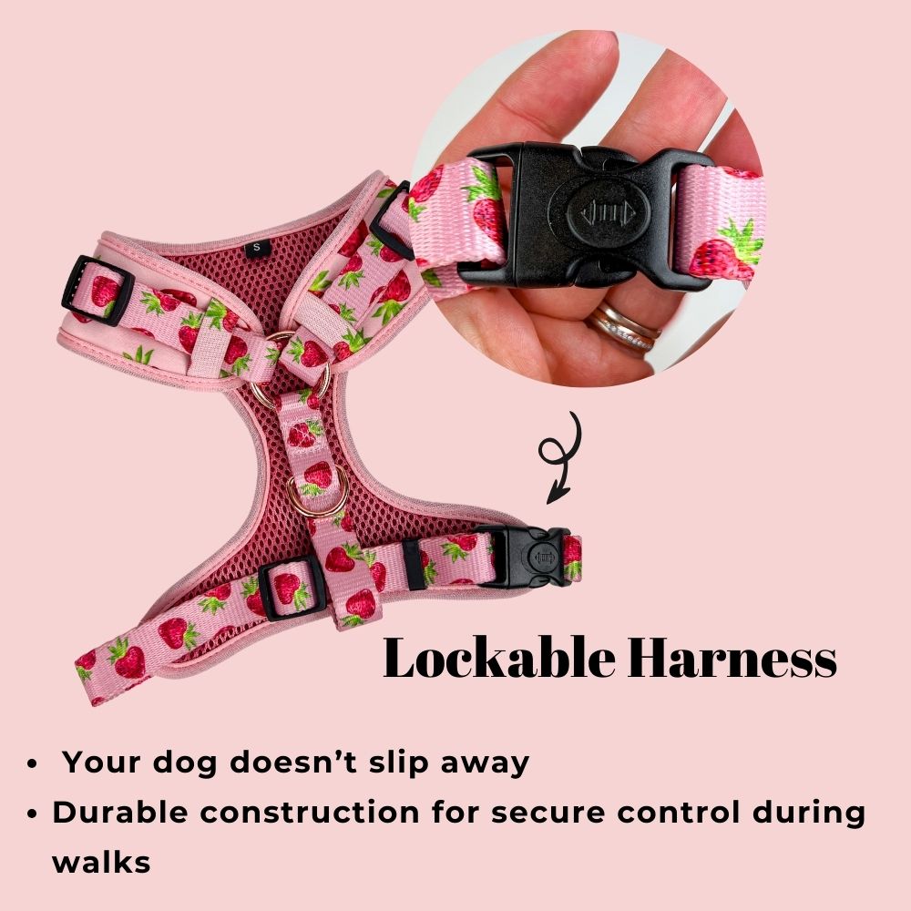 Adjustable Dog Harness -  Strawberries