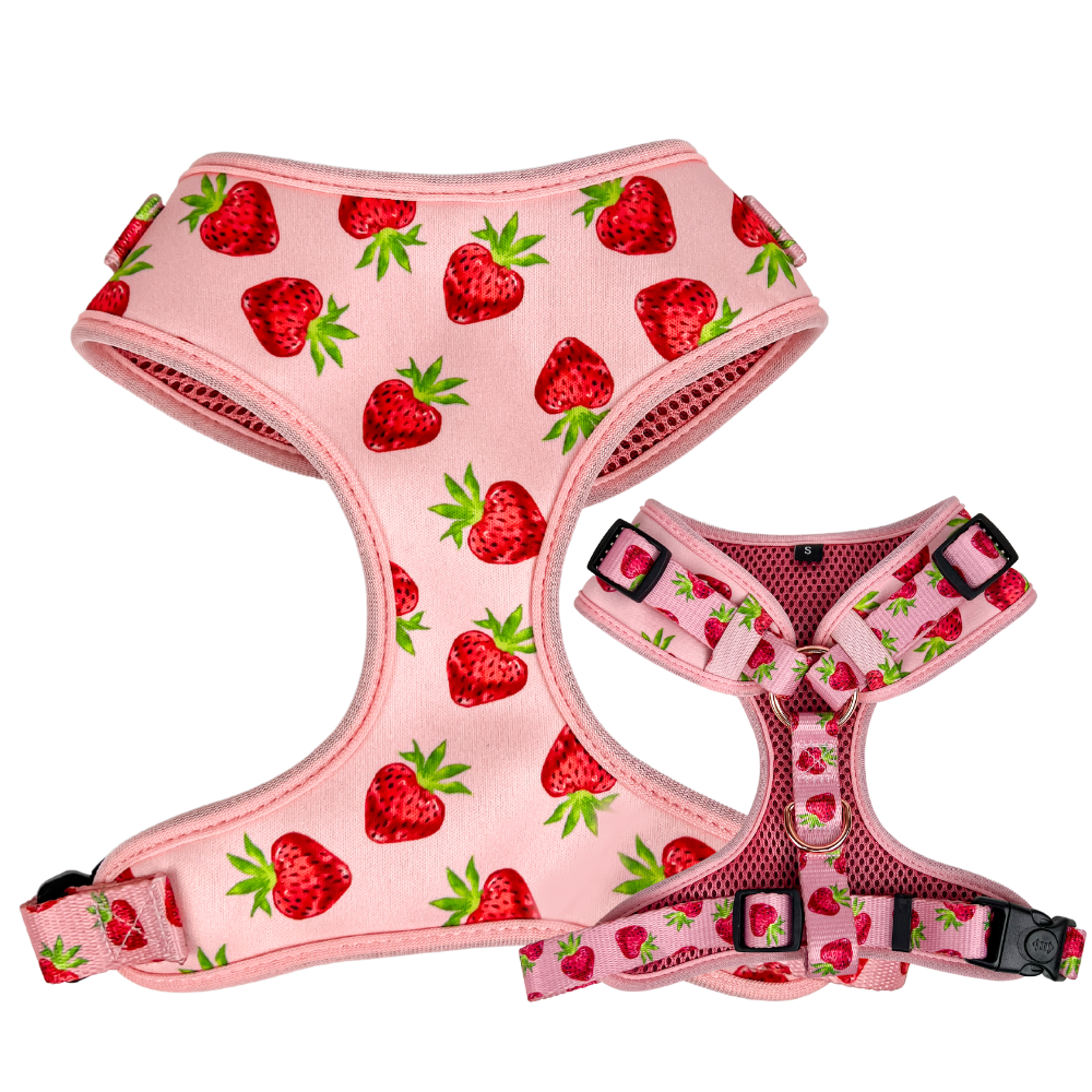 Adjustable Dog Harness -  Strawberries