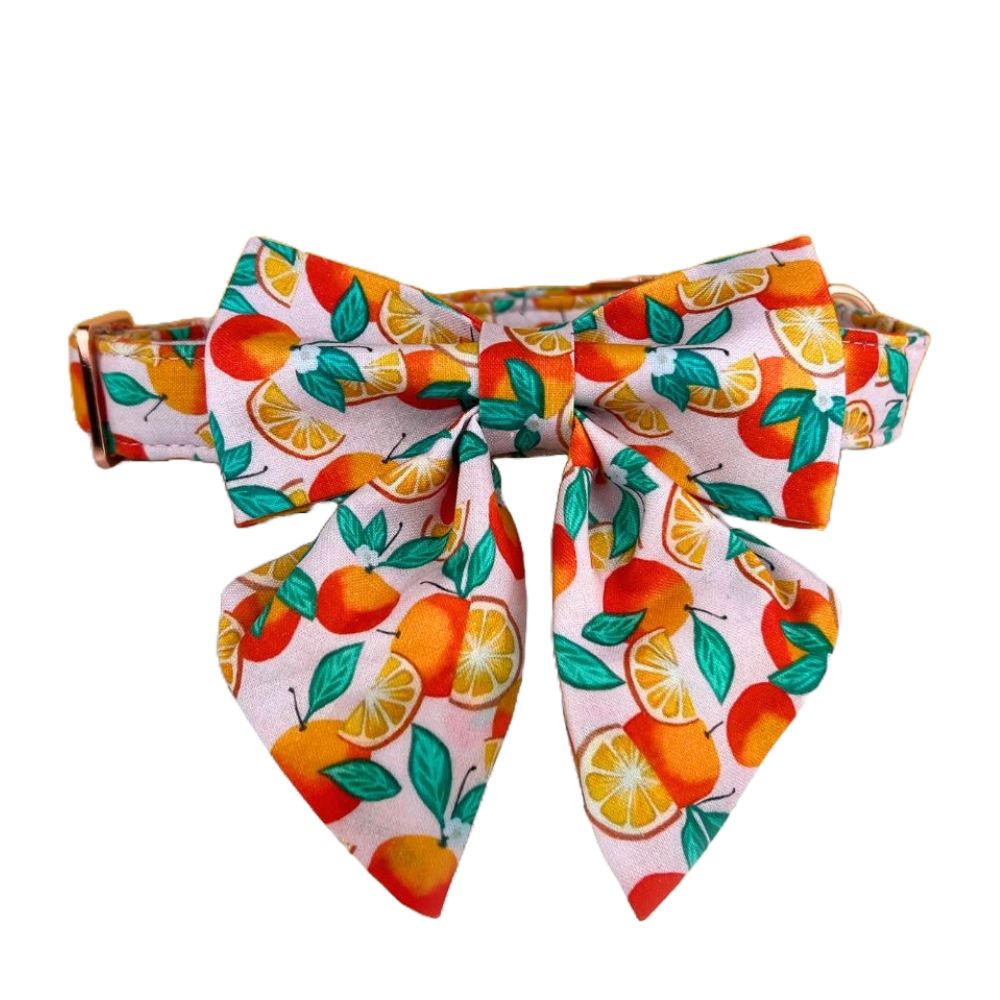 Orange Zest Dog Sailor Bow Tie Collar