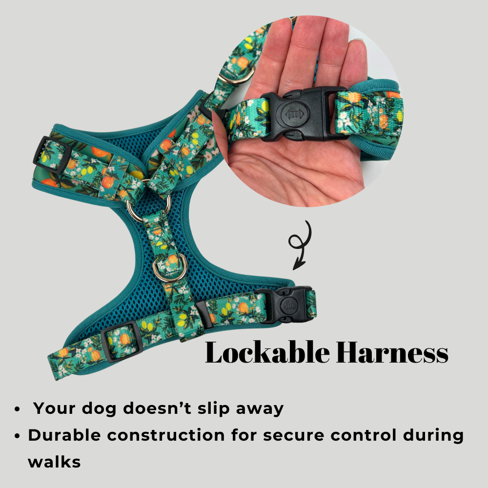 Adjustable Dog Harness - Floral Lemon-Orange