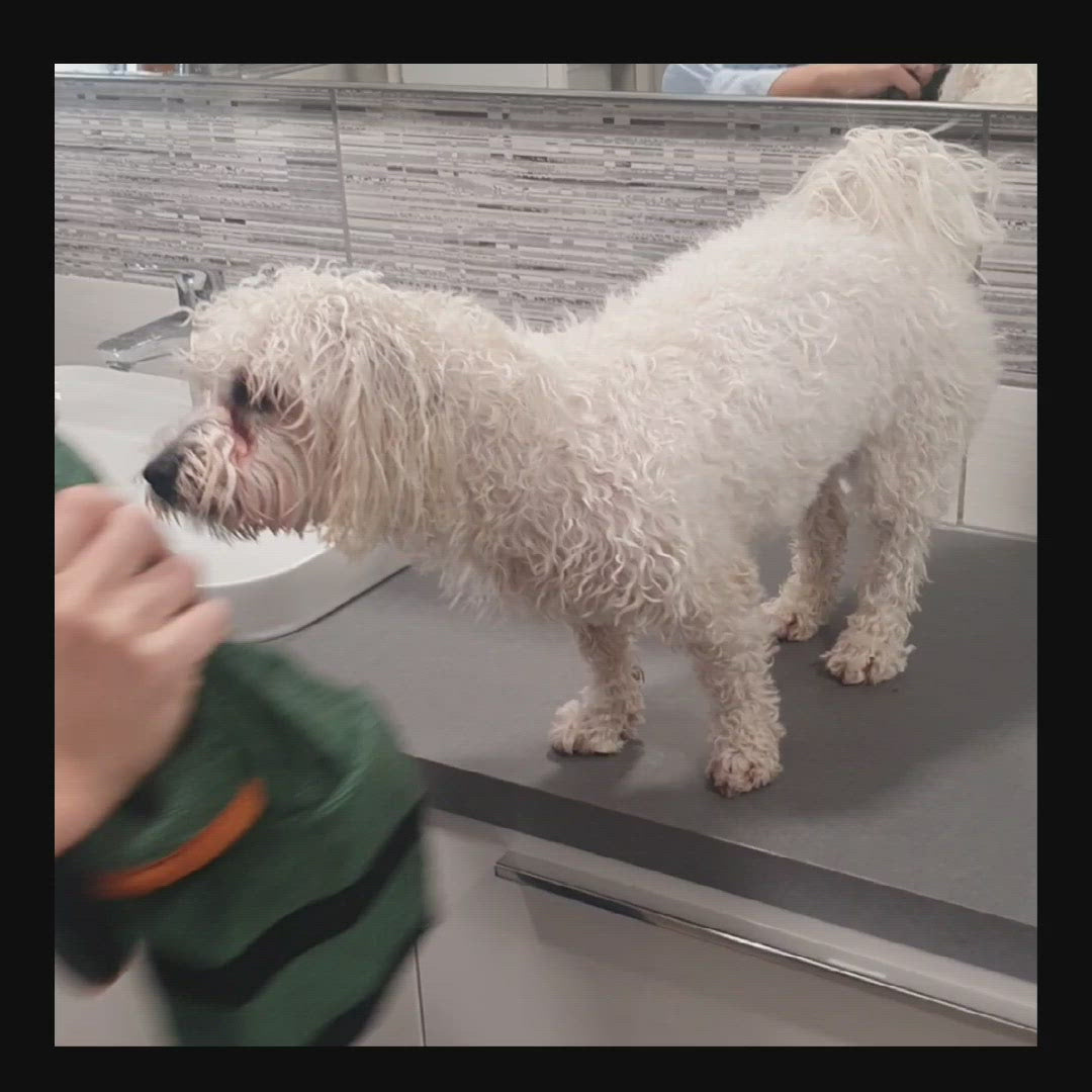 Ultra Absorbent Dog Bathrobe