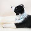 Load image into Gallery viewer, Personalized Hot Dog Bow Tie Collar &amp; Leash