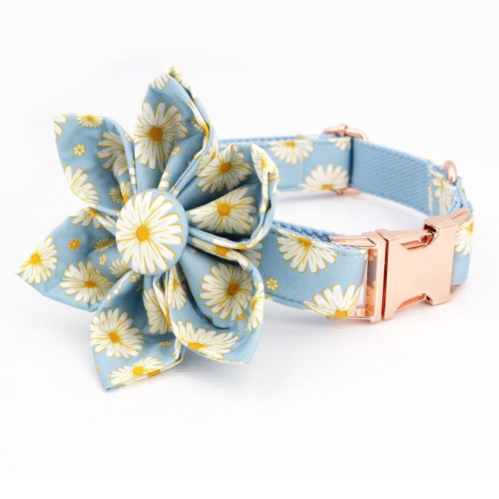 Personalized Blue Daisy Dog Collar
