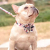 Load image into Gallery viewer, Personalized Ivy Flower Dog Collar