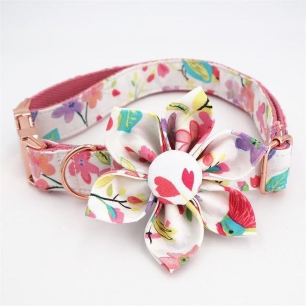 Personalized Blossom Dog Flower Collar & Leash