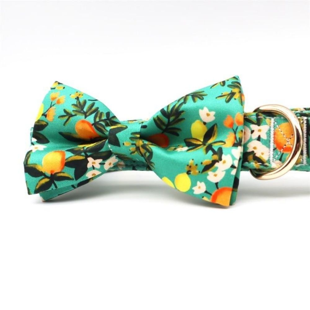 Personalized Floral Lemon-Orange  Bow Tie Collar & Leash