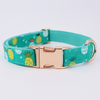 Personalized Turquoise Pineapple Dog Flower Collar & Leash