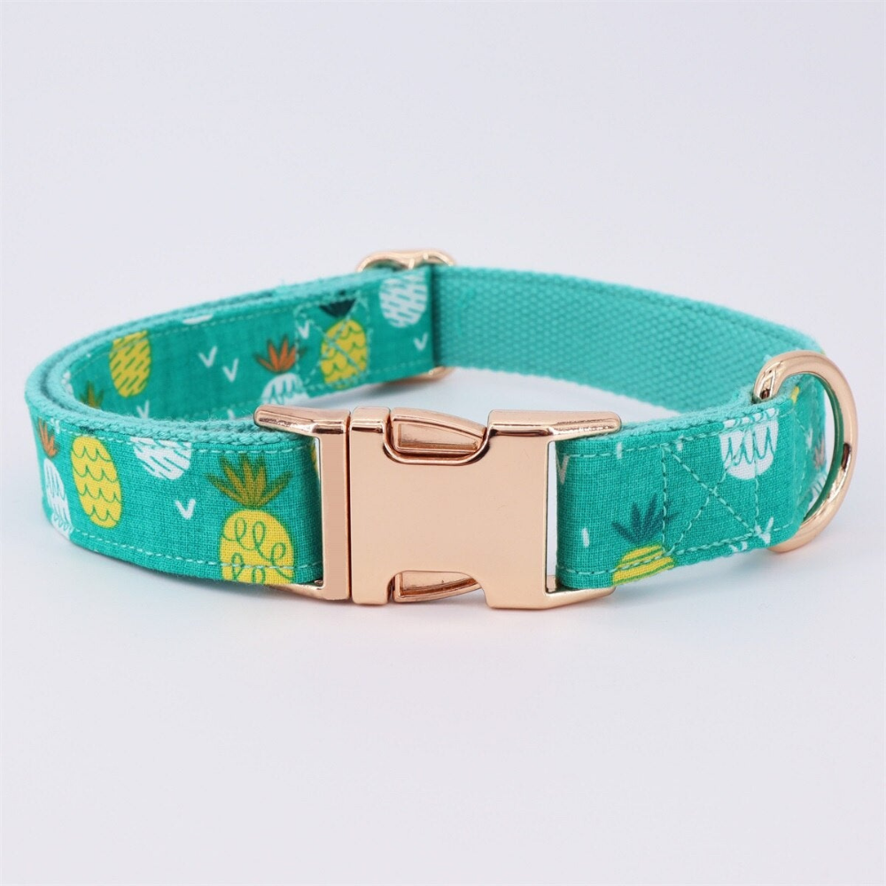 Personalized Turquoise Pineapple Dog Bow Tie Collar & Leash