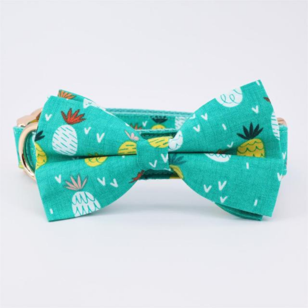 Personalized Turquoise Pineapple Dog Bow Tie Collar & Leash