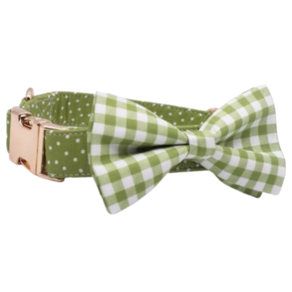 Personalized Glow Green Dog Bow Tie Collar