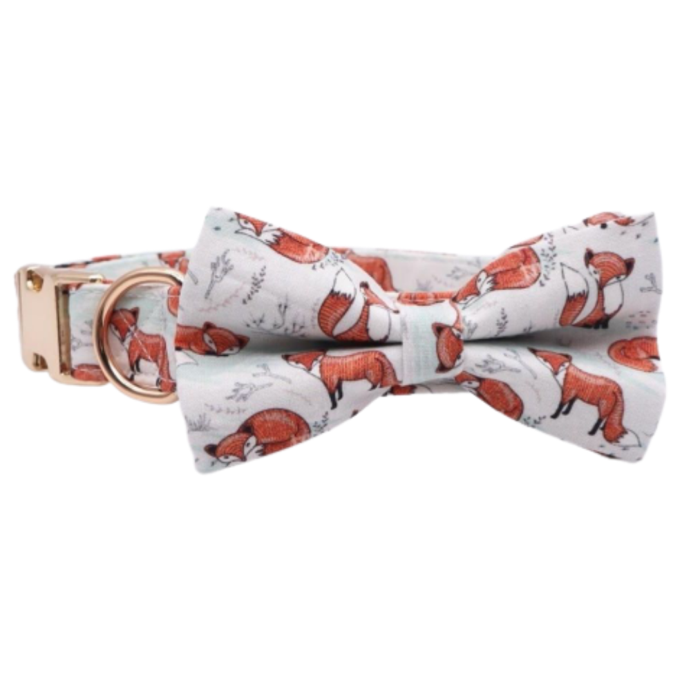 Personalized Fox Dog Bow Tie Collar