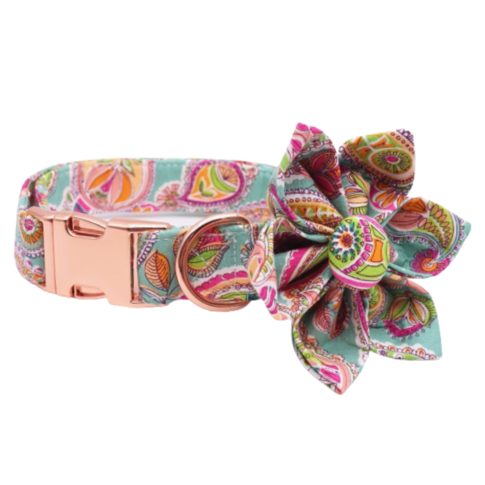 Personalized Paisley Dog Flower Collar