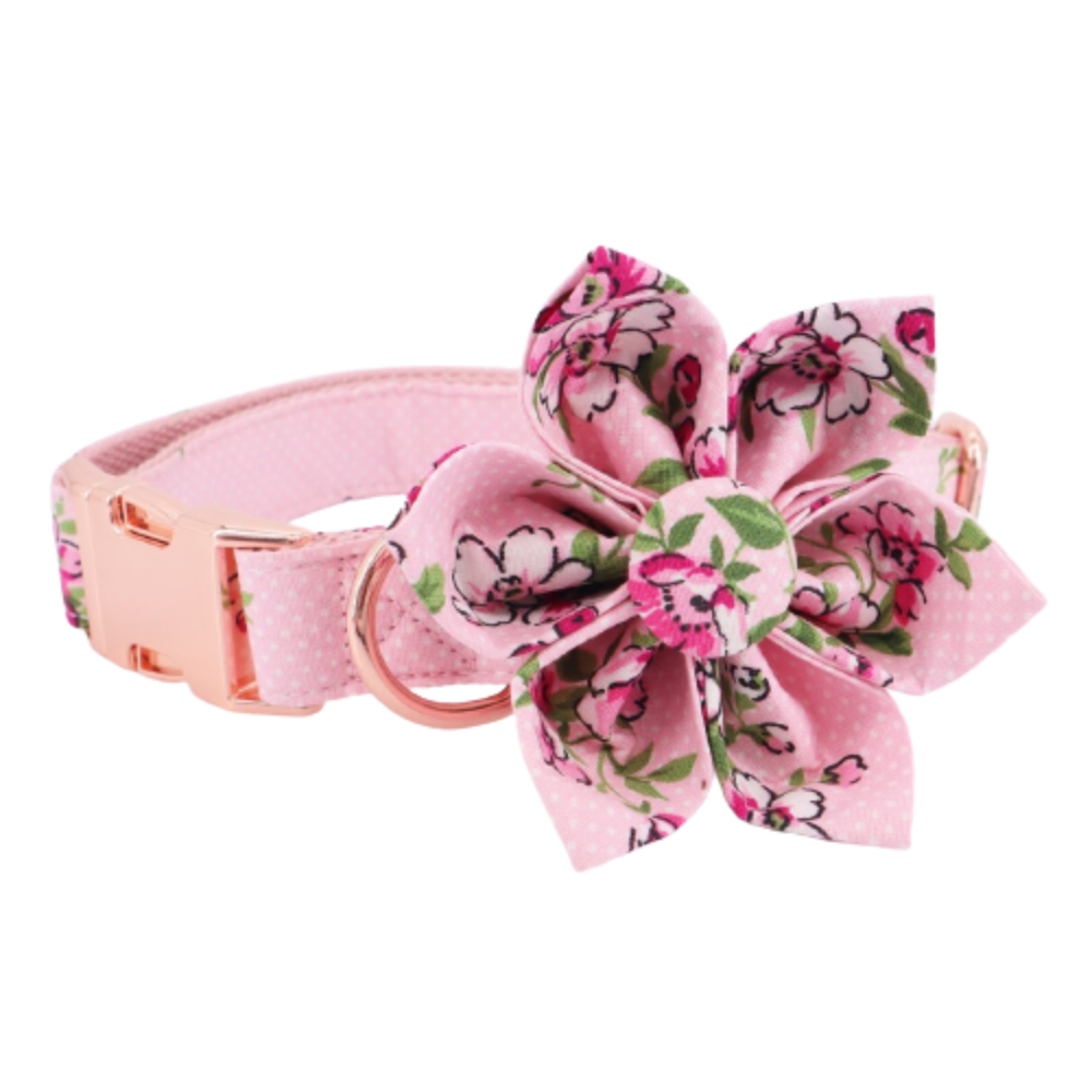 Personalized Rosa Floral Dog Flower Collar & Leash