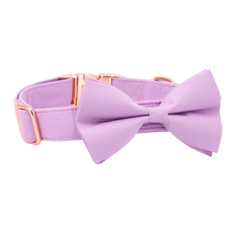 Personalized Lavender Purple Dog Bow Tie Collar