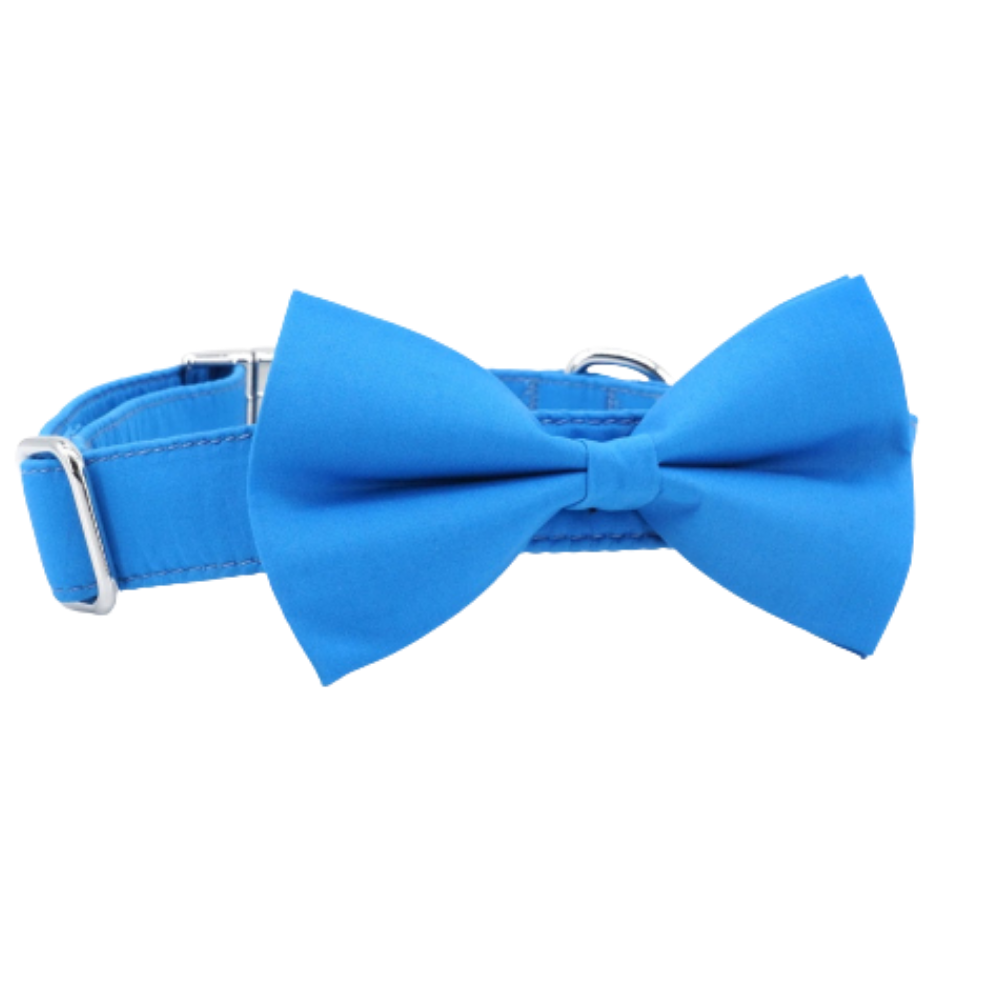 Personalized Solid Ocean Blue Dog Bow Tie Collar