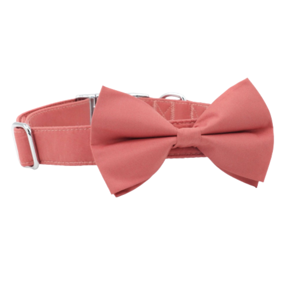 Personalized Rosewater Dog Bow Tie Collar