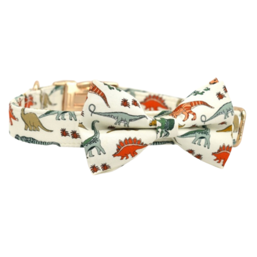 Personalized Dino Dog Bow Tie Collar