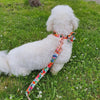 Personalized Petite Petals Dog Flower Collar