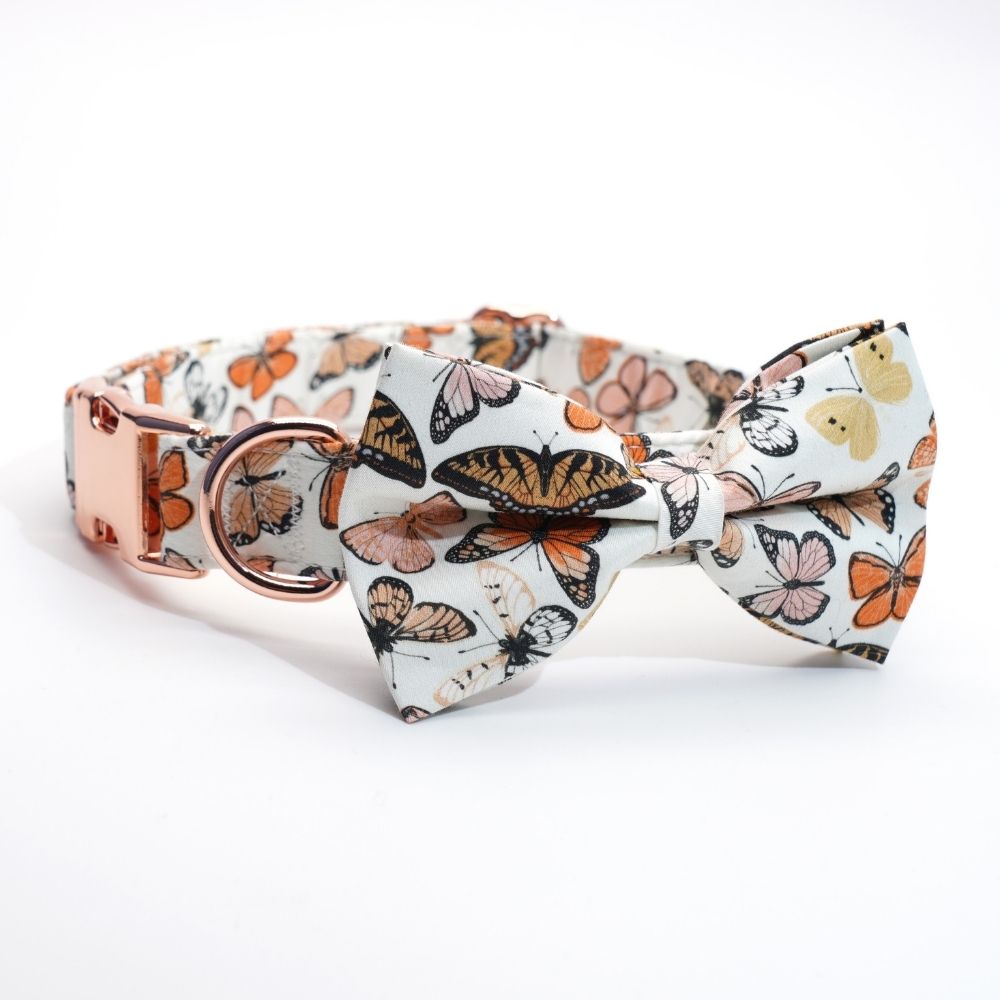 Personalized Butterflies Dog Bow Tie Collar & Leash
