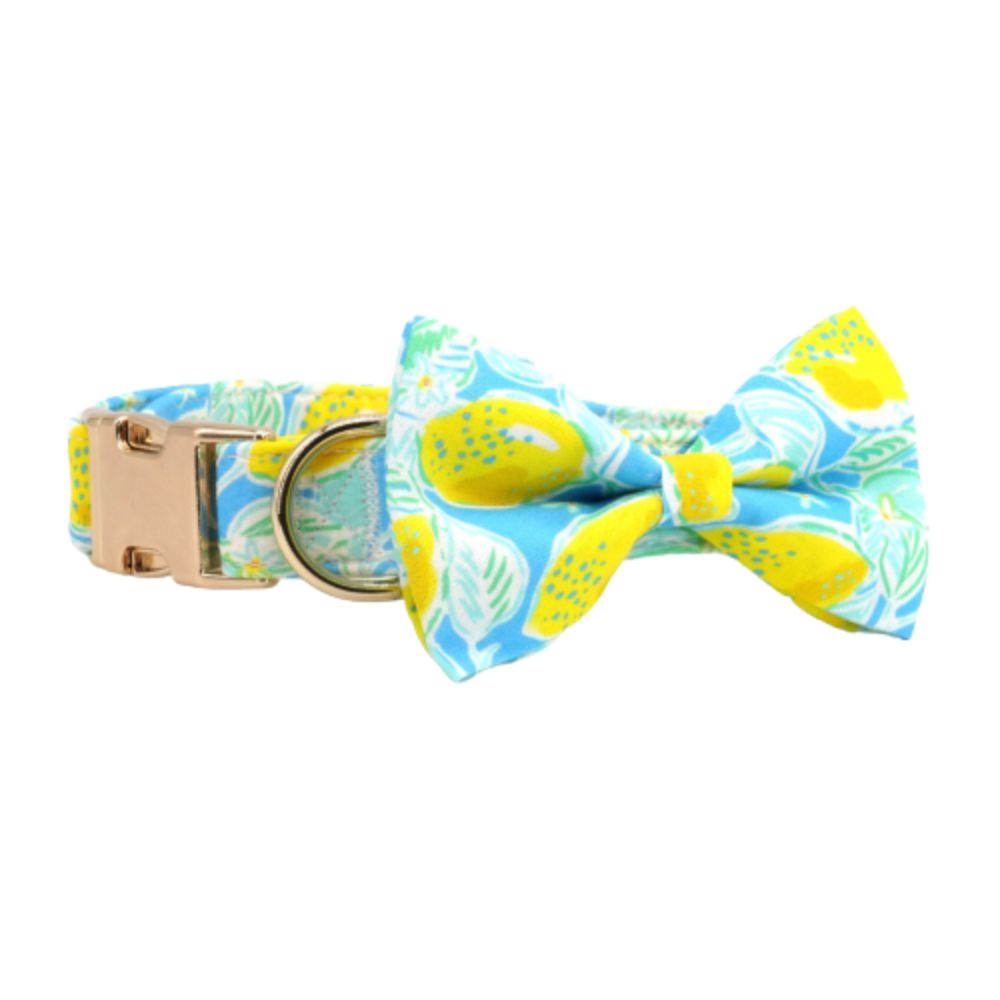 Personalized Lemonade Dog Bow Tie Collar & Leash