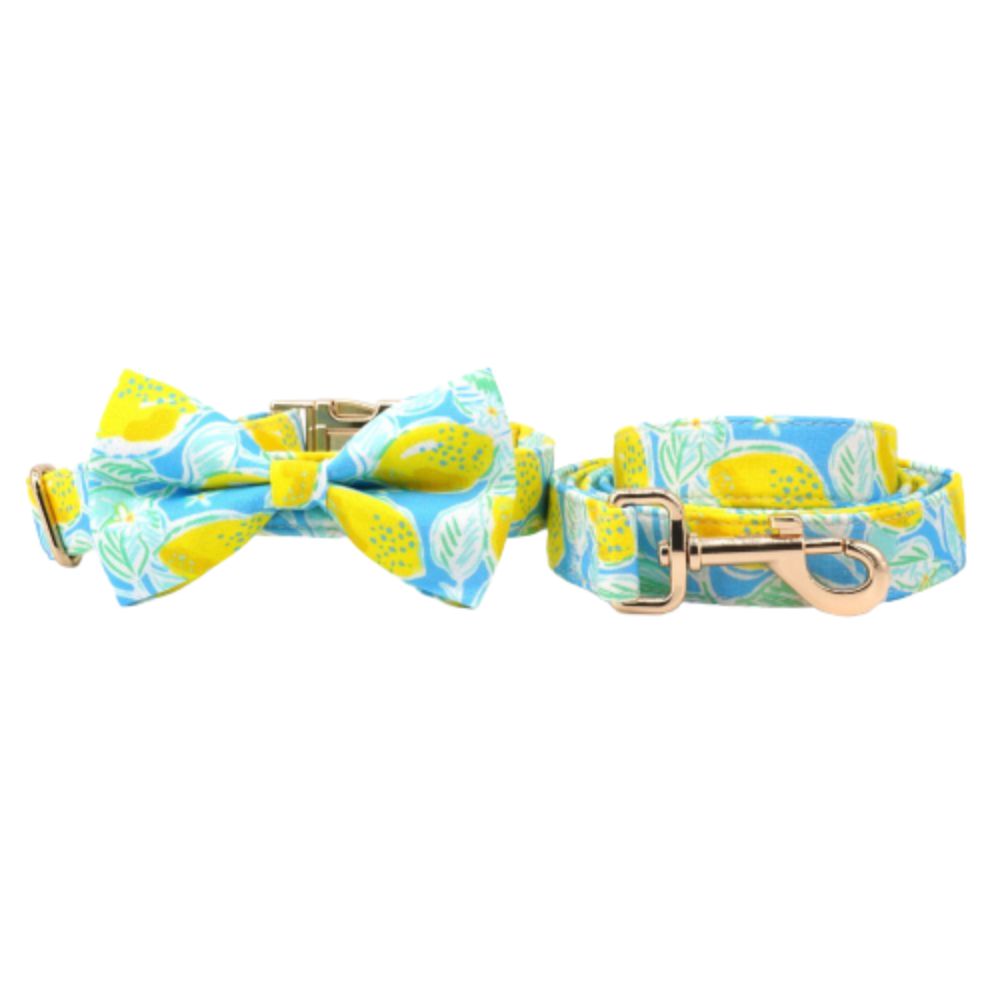 Personalized Lemonade Dog Bow Tie Collar