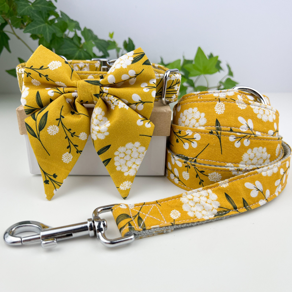 Personalized Yellow Flower Dog Lady Bow Collar & Leash