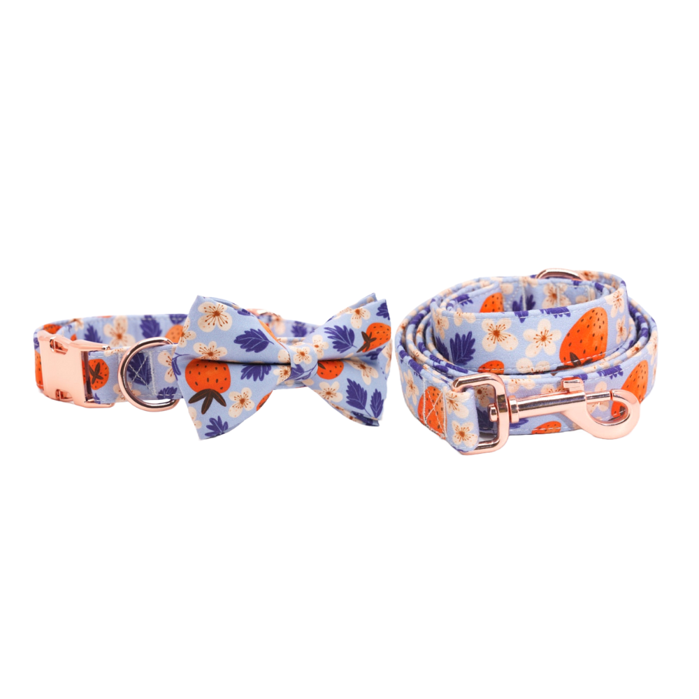 Personalized Strawberry Dog Bow Tie Collar & Leash