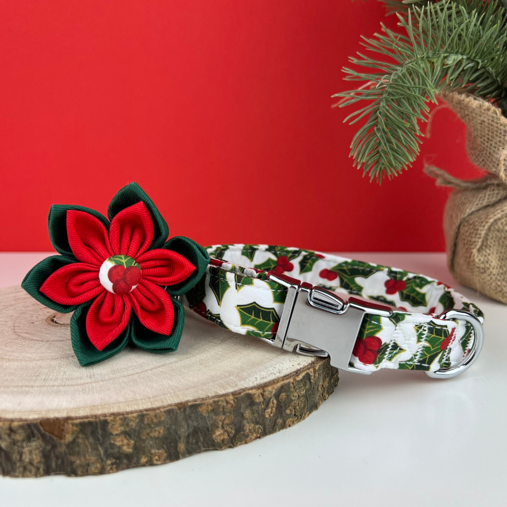 Personalized Under the Mistletoe Dog Flower Collar & Leash