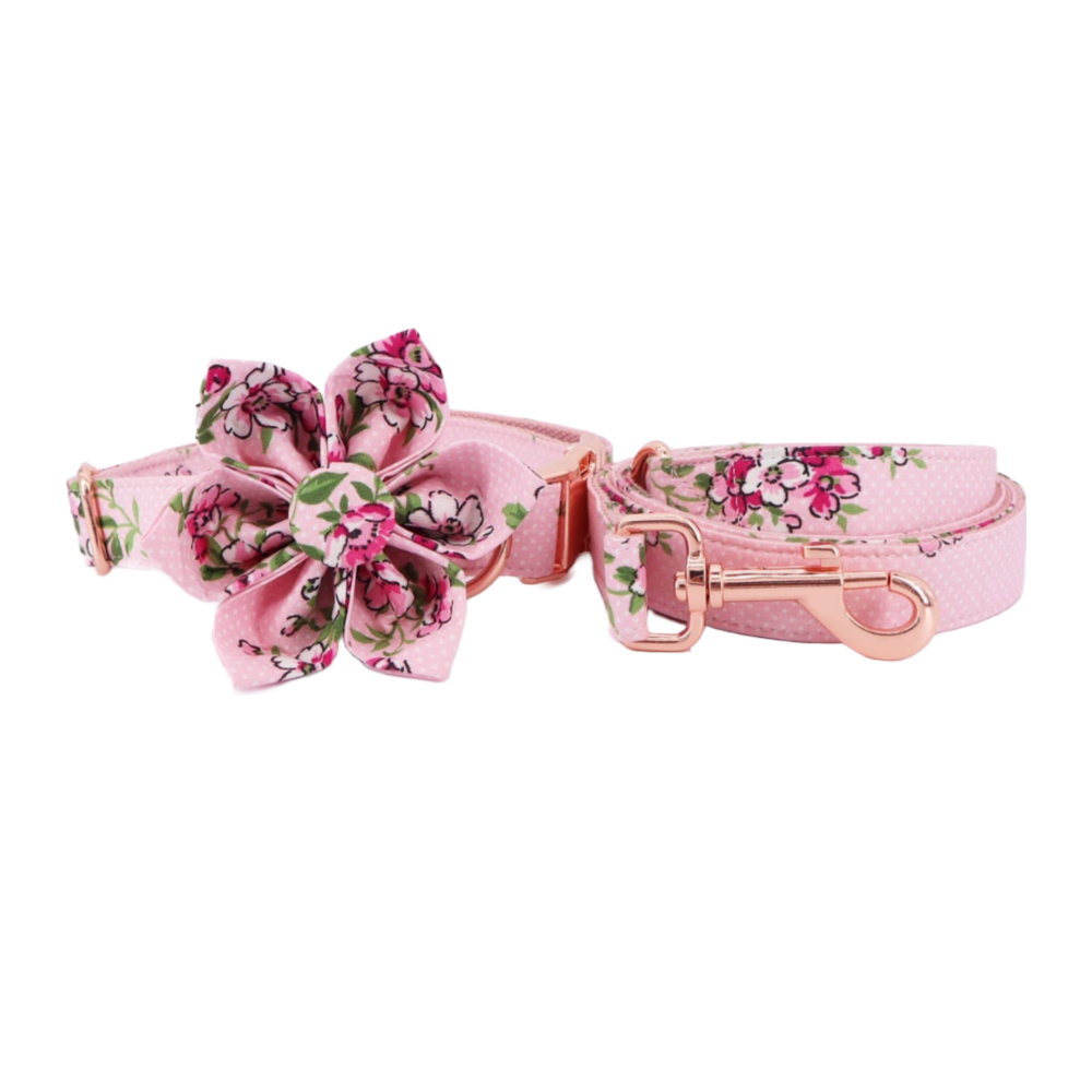 Personalized Rosa Floral Dog Flower Collar & Leash
