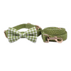 Personalized Glow Green Dog Bow Tie Collar & Leash