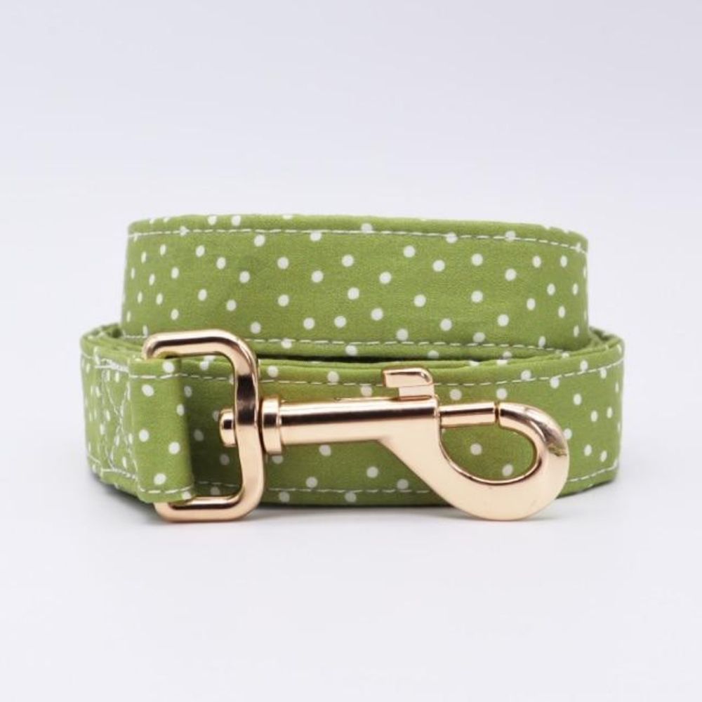 Personalized Glow Green Dog Flower Collar & Leash