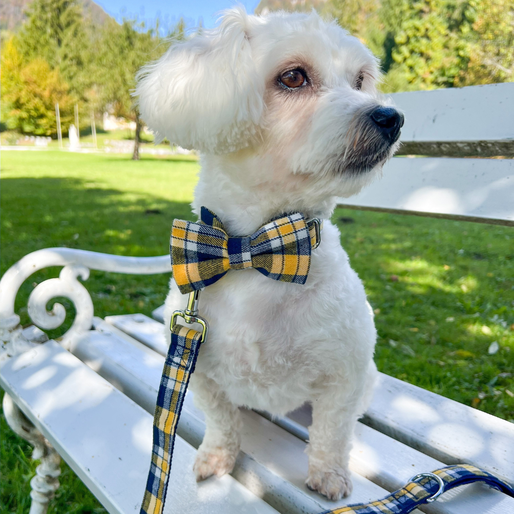 Personalized Yellow Plaid Dog Bow Tie Collar & Leash