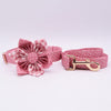 Personalized Pink Glow Dog Flower Collar