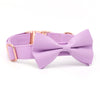 Personalized Lavender Purple Dog Bow Tie Collar & Leash