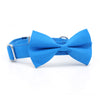 Personalized Solid Ocean Blue Dog Bow Tie Collar & Leash